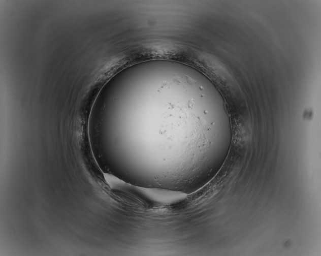 X0000098100456200804041248