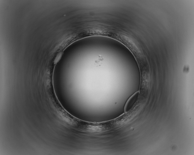 X0000098100457200804041248