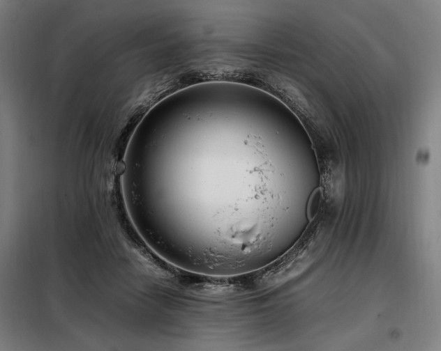 X0000098100458200804041248