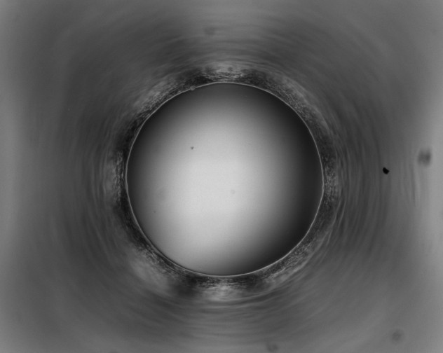 X0000098100460200804041248