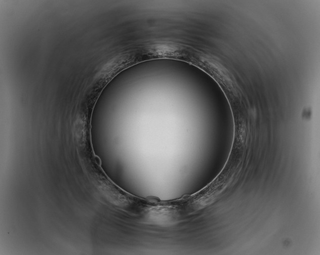 X0000098100461200804041248