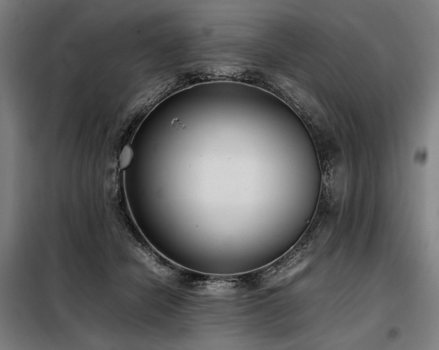 X0000098100462200804041248