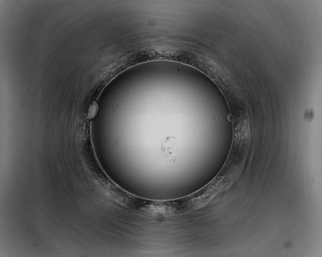 X0000098100464200804041248
