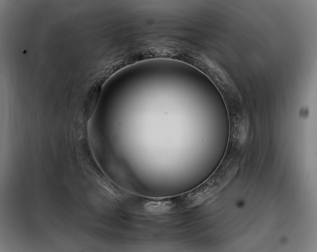 X0000098100465200804041248