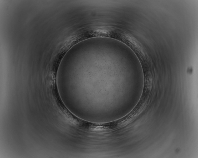 X0000098100467200804041248