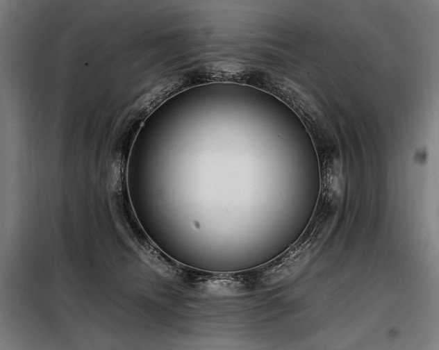 X0000098100468200804041248