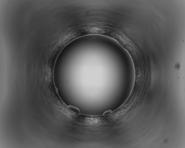 X0000098100469200804041248