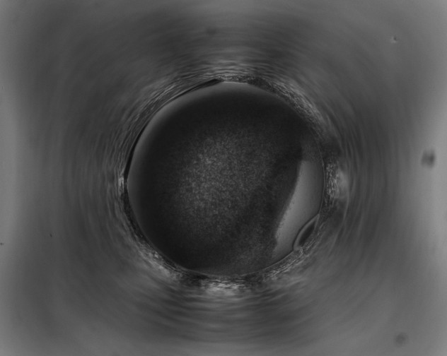 X0000098100471200804041248