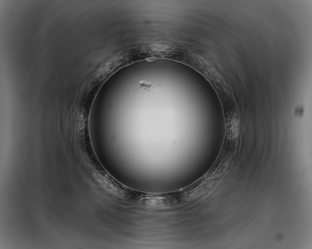 X0000098100472200804041248