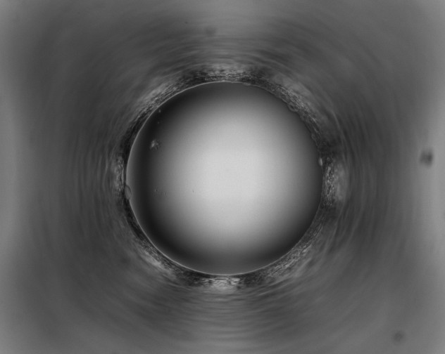 X0000098100474200804041248