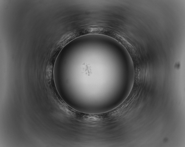 X0000098100475200804041248