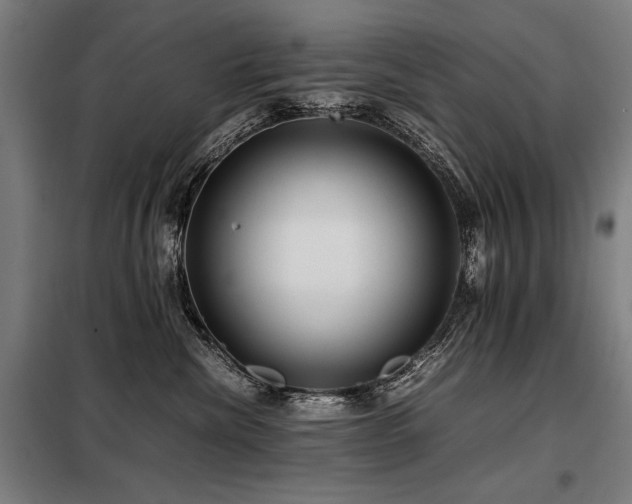 X0000098100476200804041248