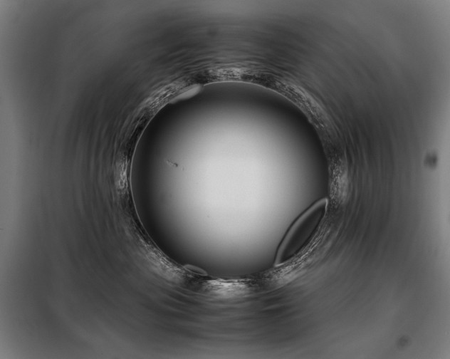X0000098100477200804041248