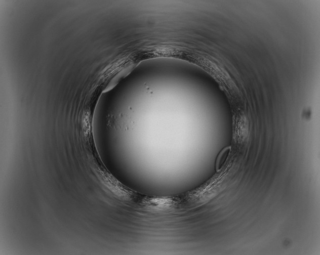 X0000098100478200804041248