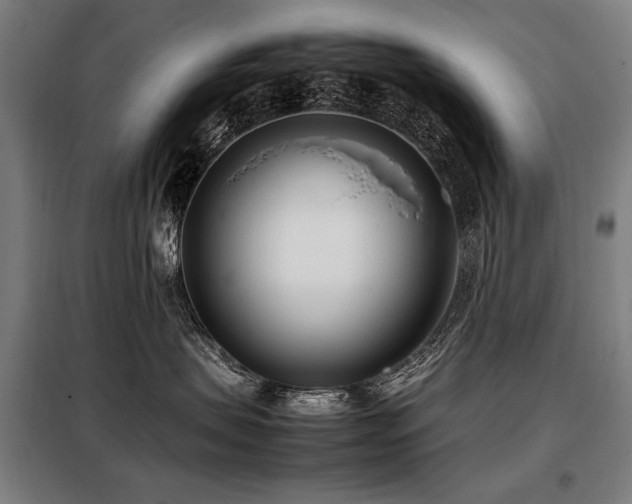 X0000098100479200804041248