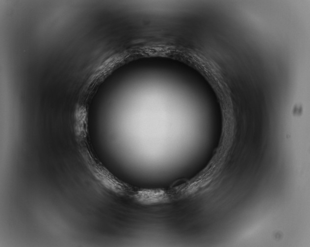 X0000098100480200804041248