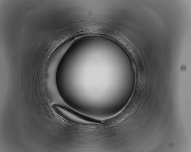 X0000098100481200804041247