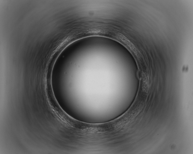 X0000098100482200804041247