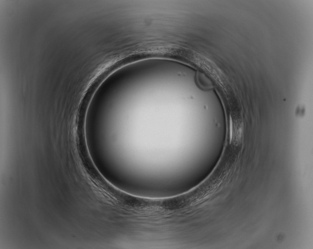 X0000098100483200804041247
