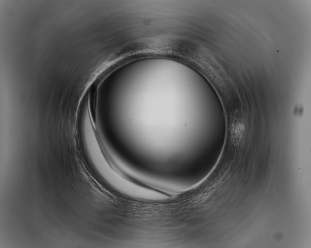 X0000098100484200804041247