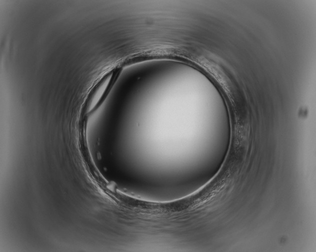 X0000098100485200804041247