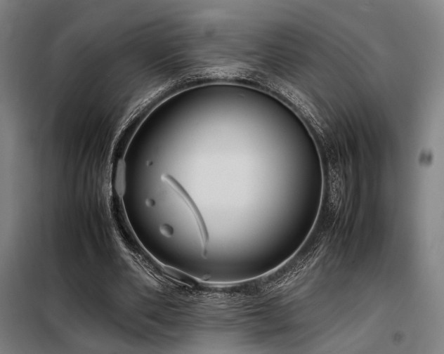 X0000098100486200804041247