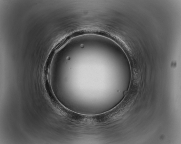 X0000098100487200804041247
