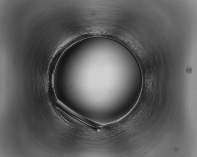 X0000098100488200804041247