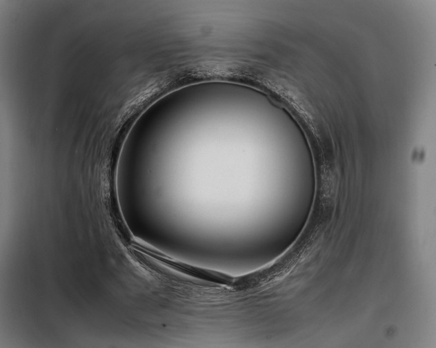 X0000098100489200804041247