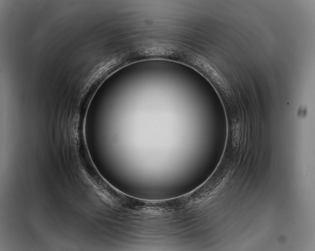 X0000098100490200804041247
