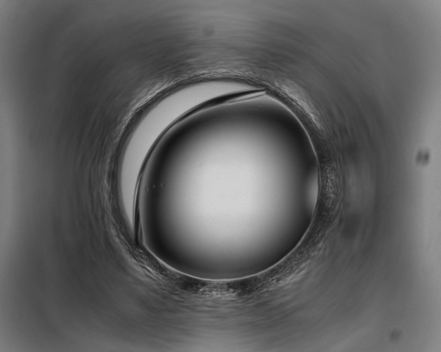 X0000098100491200804041247