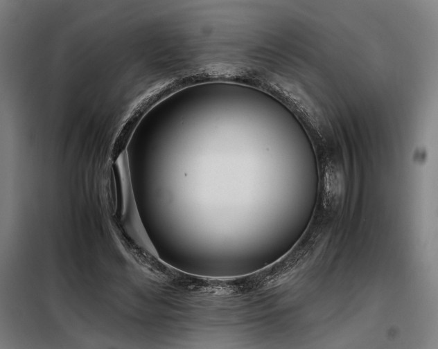X0000098100492200804041247