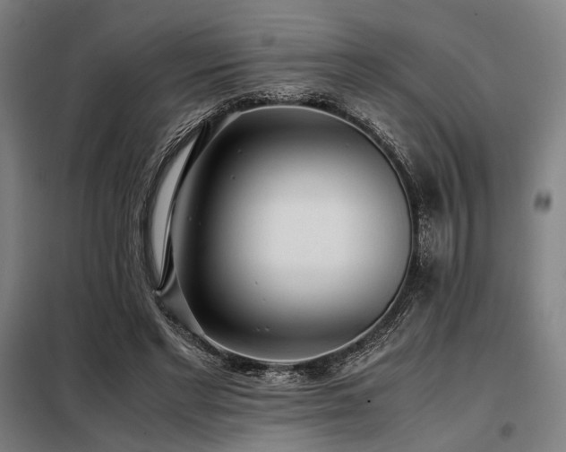 X0000098100493200804041247