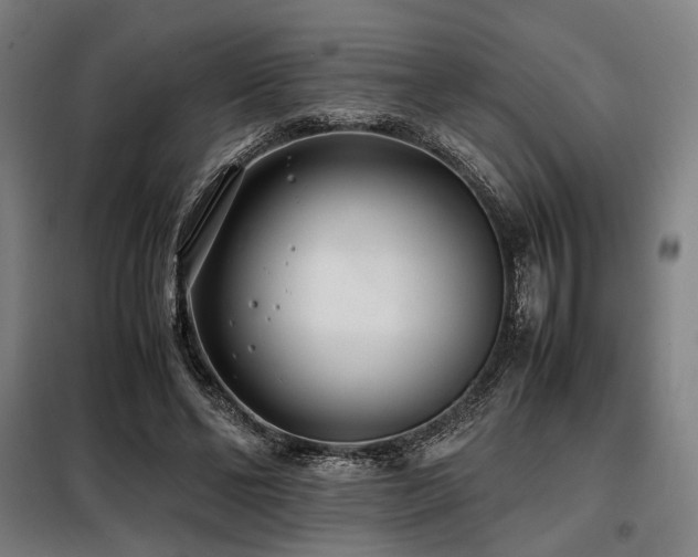 X0000098100494200804041247