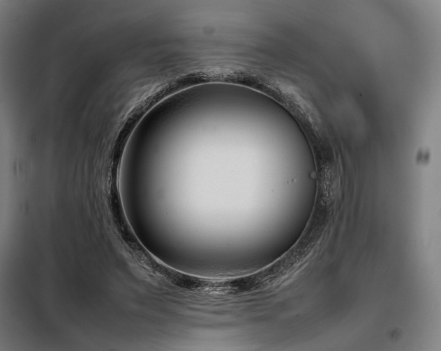 X0000098100495200804041247
