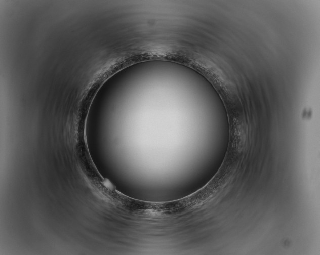 X0000098100496200804041247