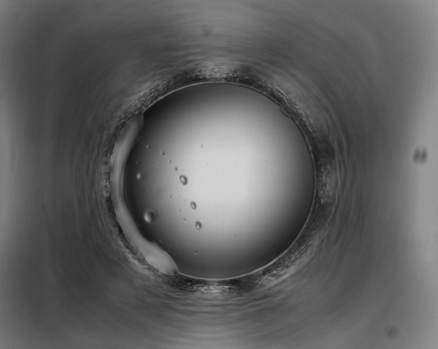 X0000098100497200804041247