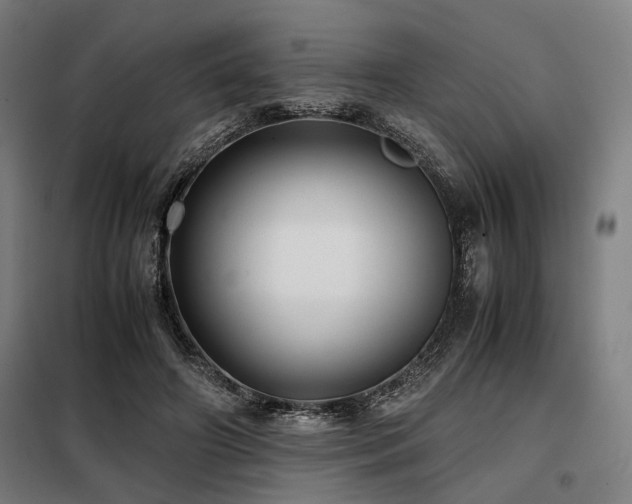 X0000098100498200804041247