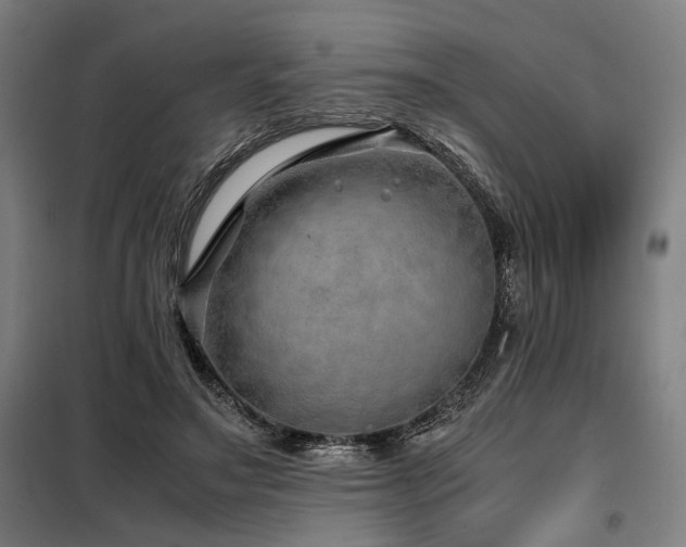 X0000098100499200804041247