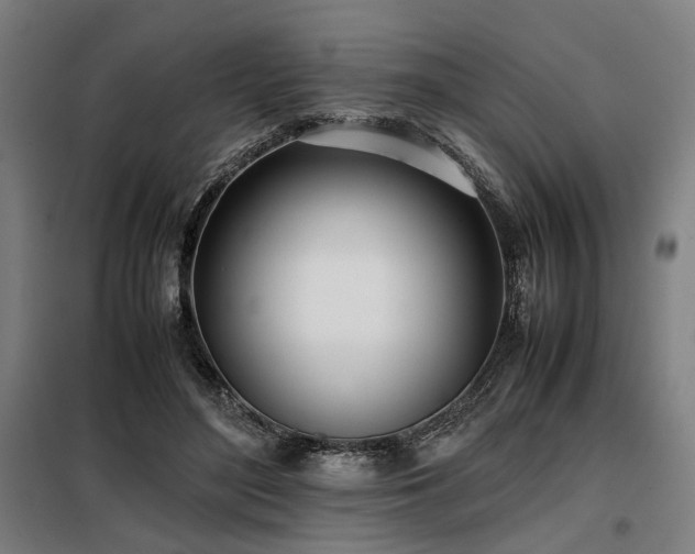X0000098100500200804041247