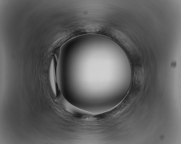 X0000098100501200804041247