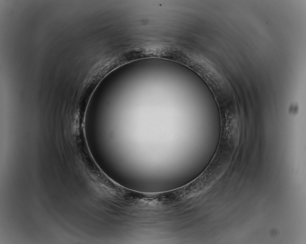 X0000098100502200804041247