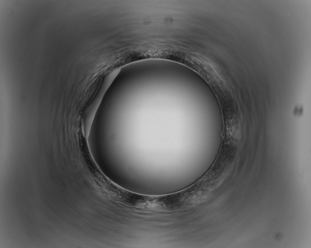 X0000098100503200804041247