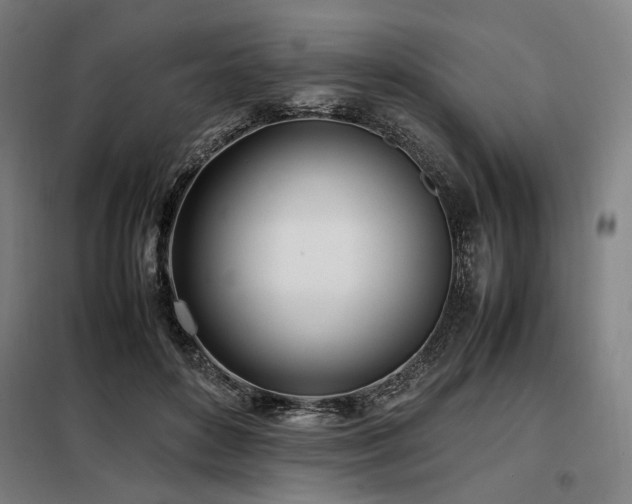 X0000098100504200804041247