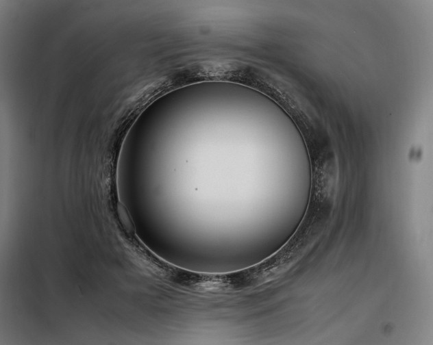 X0000098100505200804041247