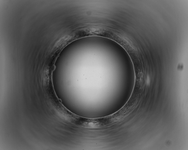 X0000098100506200804041247