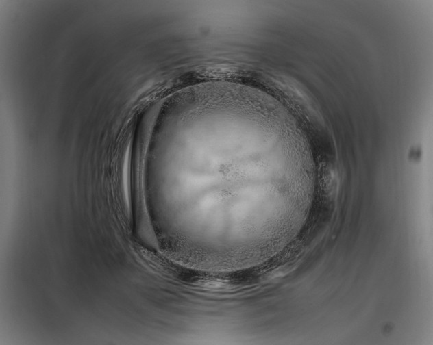 X0000098100507200804041247