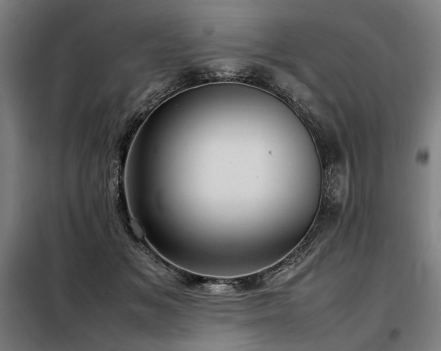 X0000098100509200804041247