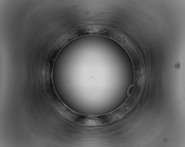 X0000098100510200804041247