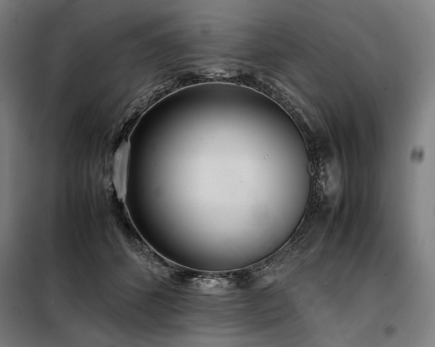 X0000098100512200804041247